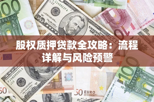 武汉股权质押贷款全攻略：流程详解与风险预警
