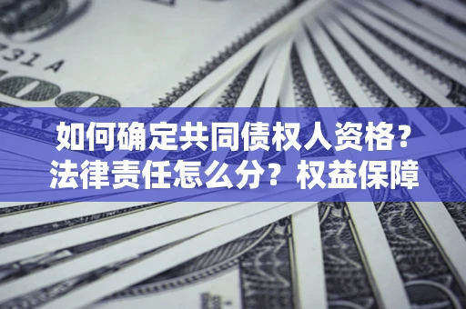 武汉如何确定共同债权人资格？法律责任怎么分？权益保障技巧揭秘！