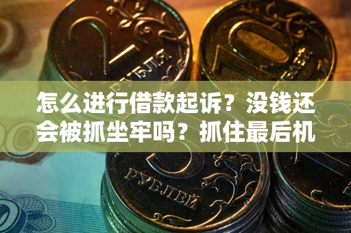 武汉怎么进行借款起诉？没钱还会被抓坐牢吗？抓住最后机会！