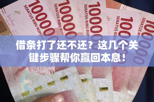 武汉借条打了还不还？这几个关键步骤帮你赢回本息！