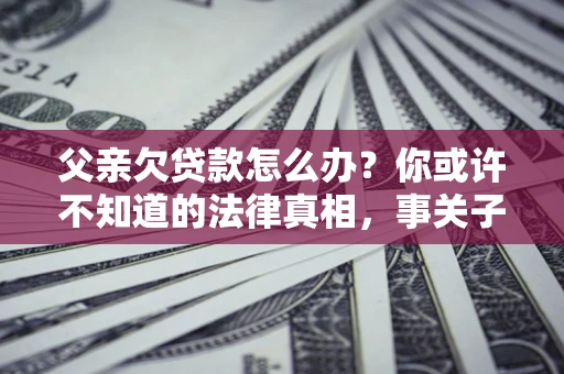 武汉父亲欠贷款怎么办？你或许不知道的法律真相，事关子女未来