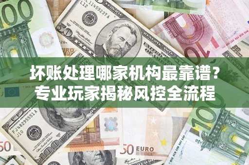 武汉坏账处理哪家机构最靠谱？专业玩家揭秘风控全流程