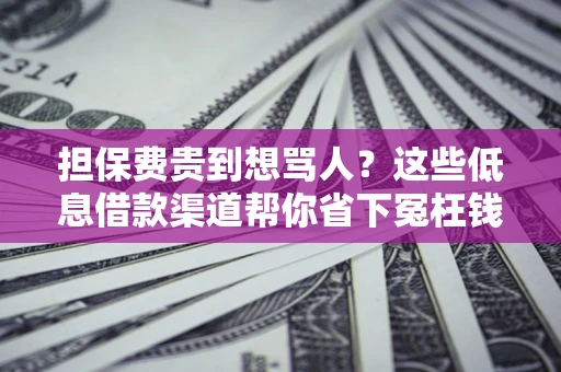武汉担保费贵到想骂人？这些低息借款渠道帮你省下冤枉钱
