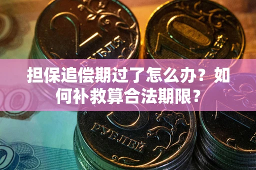 武汉担保追偿期过了怎么办？如何补救算合法期限？