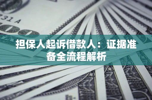 武汉担保人起诉借款人：证据准备全流程解析