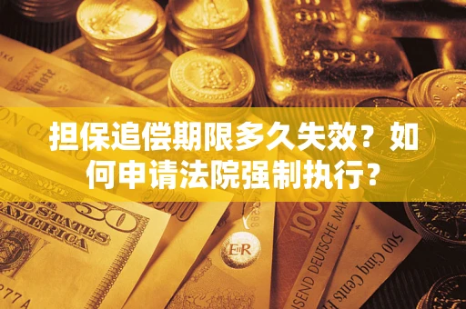 武汉担保追偿期限多久失效？如何申请法院强制执行？