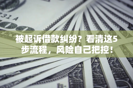 武汉被起诉借款纠纷？看清这5步流程，风险自己把控！
