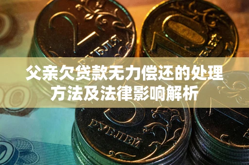 武汉父亲欠贷款无力偿还的处理方法及法律影响解析