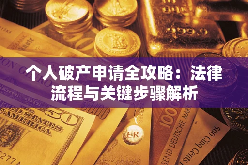 武汉个人破产申请全攻略：法律流程与关键步骤解析