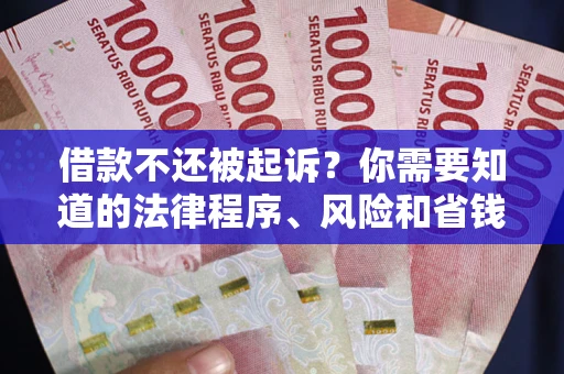 武汉借款不还被起诉？你需要知道的法律程序、风险和省钱技巧